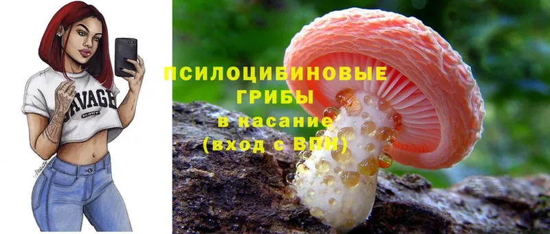 Псилоцибиновые грибы GOLDEN TEACHER  Большой Камень 